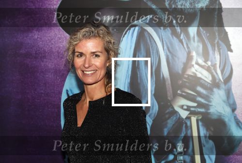 Amsterdam 18 januari 2019
Premiere Nationaal ballet in de stopera. Patrcia Snel