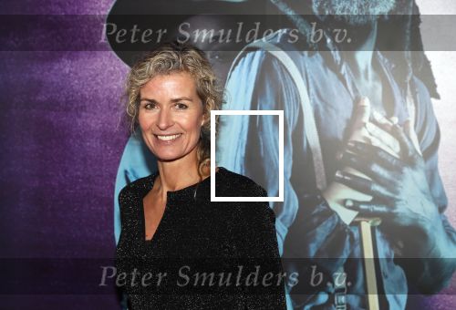 Amsterdam 18 januari 2019
Premiere Nationaal ballet in de stopera. Patrcia Snel