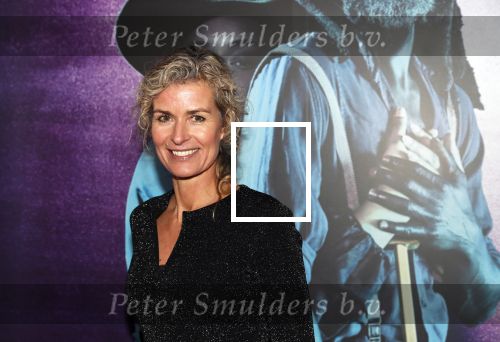 Amsterdam 18 januari 2019
Premiere Nationaal ballet in de stopera. Patrcia Snel