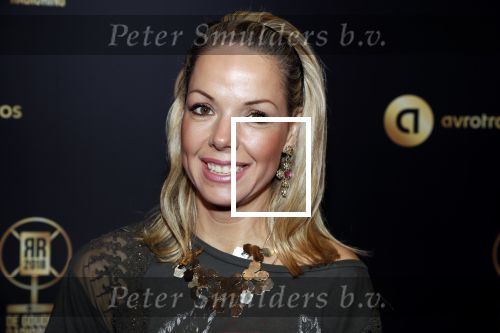 Hilversum 31 januari 2019
Uitreiking van de gouden radioring in theater Gooiland. Patricia van Liemt