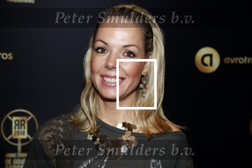 Hilversum 31 januari 2019
Uitreiking van de gouden radioring in theater Gooiland. Patricia van Liemt
