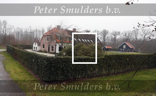 Voorschoten 30 januari 2019
Nieuwe huis Prins Floris en Prinses Aimee