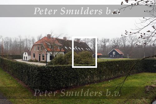 Voorschoten 30 januari 2019
Nieuwe huis Prins Floris en Prinses Aimee