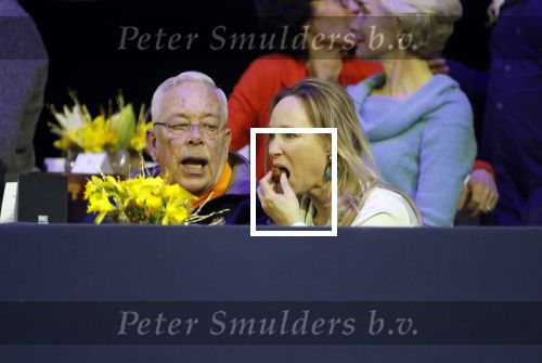 Amsterdam 25 januari 2019
Jumpin Amsterdam met de koninklijke gasten  Prinses Margarita haar man Tjalling ten Cate en hun dochters Julia en Paola.