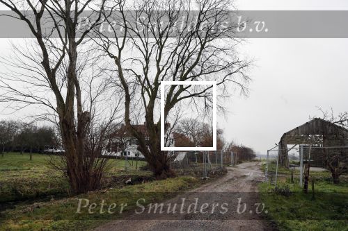 Wassenaar 30 januari 2019
Nieuwe huis / boerderij van prinses Margarita en haar man Tjalling ten Cate.