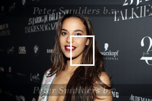 Amsterdam 24 januari 2019
25 jaar Talkies in het Okura Hotel. Rahima Dirkse miss Nederland