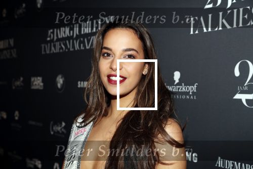 Amsterdam 24 januari 2019
25 jaar Talkies in het Okura Hotel. Rahima Dirkse miss Nederland