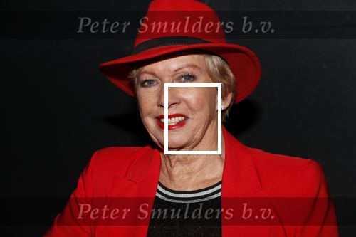 Heerhugowaard 14 januari 2019
Nieuwjaarsfeest Henk Geels. Ria Valk