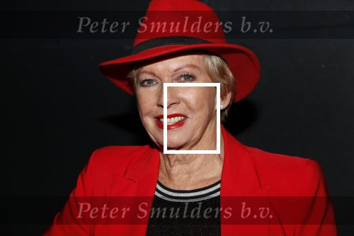 Heerhugowaard 14 januari 2019
Nieuwjaarsfeest Henk Geels. Ria Valk