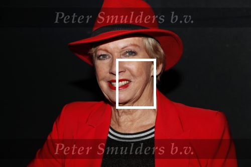 Heerhugowaard 14 januari 2019
Nieuwjaarsfeest Henk Geels. Ria Valk