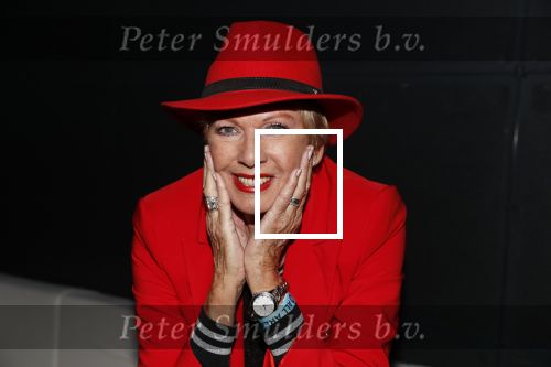 Heerhugowaard 14 januari 2019
Nieuwjaarsfeest Henk Geels. Ria Valk