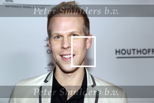 Amsterdam 18 januari 2019
Premiere Nationaal ballet in de stopera. Rick Paul Mulligen en partner