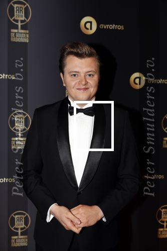Hilversum 31 januari 2019
Uitreiking van de gouden radioring in theater Gooiland. Rob Janssen
