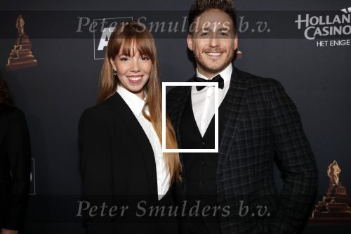Amsterdam 23 januari 2019
Rode loper musical awards in de RAI. Robbert van den Bergh