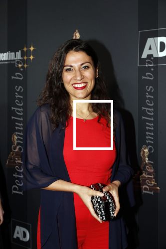 Amsterdam 23 januari 2019
Rode loper musical awards in de RAI. Ruth Sahertian