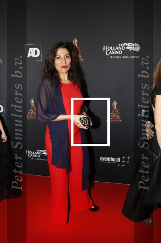 Amsterdam 23 januari 2019
Rode loper musical awards in de RAI. Ruth Sahertian