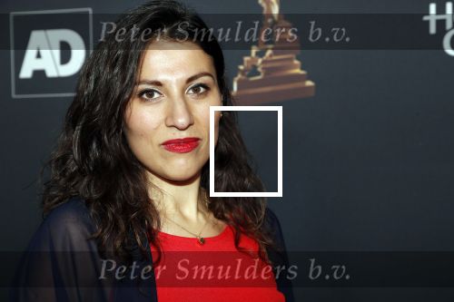 Amsterdam 23 januari 2019
Rode loper musical awards in de RAI. Ruth Sahertian