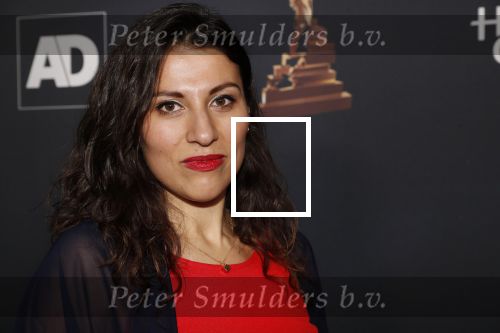Amsterdam 23 januari 2019
Rode loper musical awards in de RAI. Ruth Sahertian