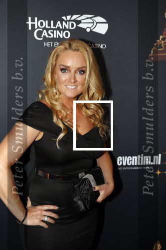 Amsterdam 23 januari 2019
Rode loper musical awards in de RAI. samantha Steenwijk kwam met haar partner