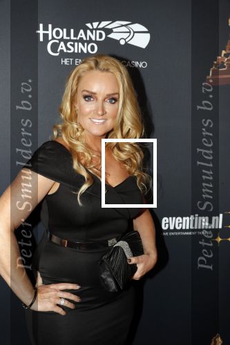Amsterdam 23 januari 2019
Rode loper musical awards in de RAI. samantha Steenwijk kwam met haar partner