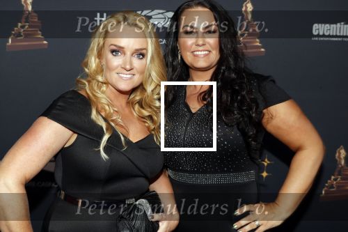 Amsterdam 23 januari 2019
Rode loper musical awards in de RAI. samantha Steenwijk kwam met haar partner
