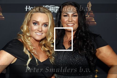 Amsterdam 23 januari 2019
Rode loper musical awards in de RAI. samantha Steenwijk kwam met haar partner