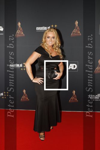 Amsterdam 23 januari 2019
Rode loper musical awards in de RAI. samantha Steenwijk kwam met haar partner