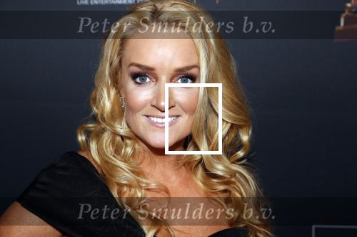 Amsterdam 23 januari 2019
Rode loper musical awards in de RAI. samantha Steenwijk kwam met haar partner