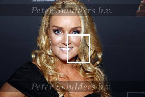 Amsterdam 23 januari 2019
Rode loper musical awards in de RAI. samantha Steenwijk kwam met haar partner
