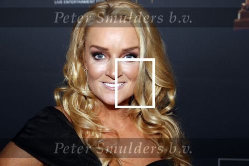 Amsterdam 23 januari 2019
Rode loper musical awards in de RAI. samantha Steenwijk kwam met haar partner