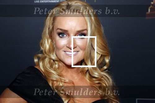 Amsterdam 23 januari 2019
Rode loper musical awards in de RAI. samantha Steenwijk kwam met haar partner