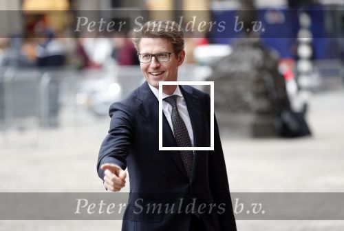 Amsterdam 15 januari 2019
Niieuwjaarsreceptie Koning Willem Alexander en koningin Maxima in paleis op de dam. Sander Dekker