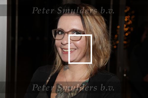 Amsterdam 20 december 2018
Premiere Cats in de RAI. Sanne Kraaijkamp
