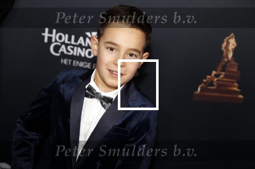 Amsterdam 23 januari 2019
Rode loper musical awards in de RAI. Silver Metz