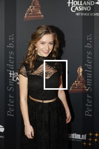 Amsterdam 23 januari 2019
Rode loper musical awards in de RAI. Sterre Koning