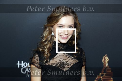 Amsterdam 23 januari 2019
Rode loper musical awards in de RAI. Sterre Koning