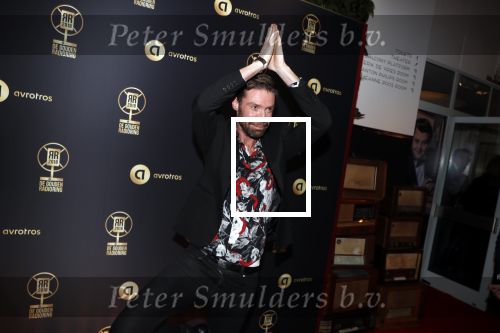 Hilversum 31 januari 2019
Uitreiking van de gouden radioring in theater Gooiland. Timur Perlin