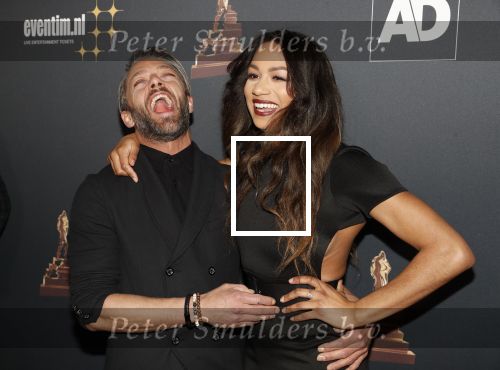 Amsterdam 23 januari 2019
Rode loper musical awards in de RAI. Tommie Christiaan met zijn nieuwe vriendin