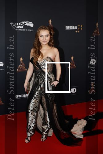 Amsterdam 23 januari 2019
Rode loper musical awards in de RAI. Vajen v d Bosch