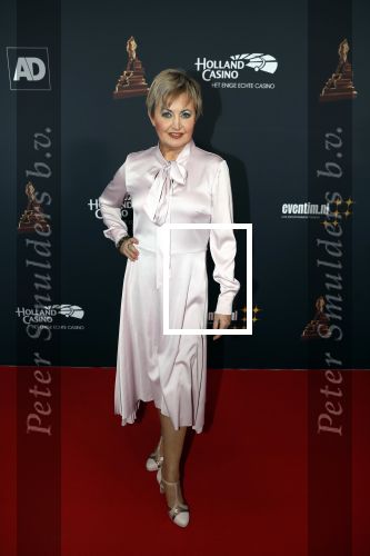 Amsterdam 23 januari 2019
Rode loper musical awards in de RAI. Vera Mann