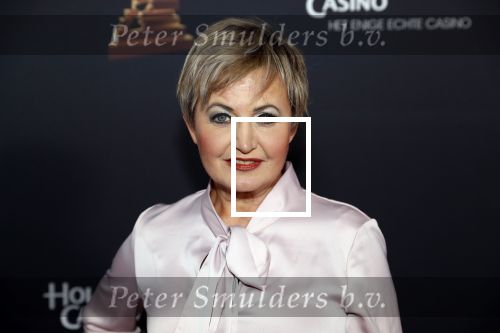 Amsterdam 23 januari 2019
Rode loper musical awards in de RAI. Vera Mann