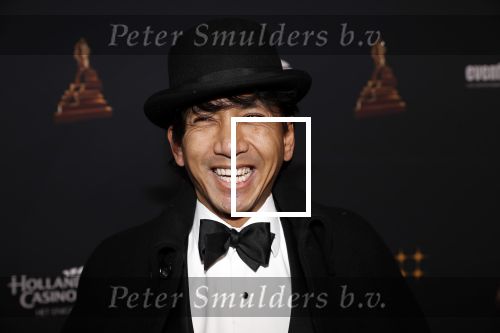 Amsterdam 23 januari 2019
Rode loper musical awards in de RAI. Wibi Soerjadi