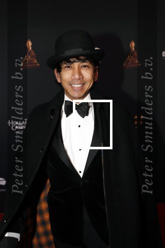 Amsterdam 23 januari 2019
Rode loper musical awards in de RAI. Wibi Soerjadi