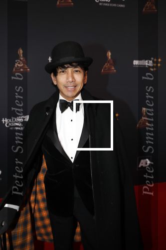 Amsterdam 23 januari 2019
Rode loper musical awards in de RAI. Wibi Soerjadi