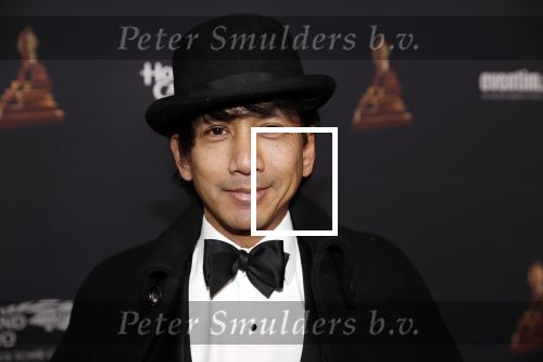 Amsterdam 23 januari 2019
Rode loper musical awards in de RAI. Wibi Soerjadi
