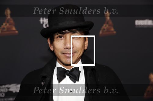 Amsterdam 23 januari 2019
Rode loper musical awards in de RAI. Wibi Soerjadi
