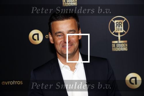Hilversum 31 januari 2019
Uitreiking van de gouden radioring in theater Gooiland. Wilfred Genee kwam met zijn  vrouw