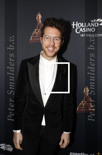 Amsterdam 23 januari 2019
Rode loper musical awards in de RAI. William Spaaij