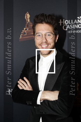 Amsterdam 23 januari 2019
Rode loper musical awards in de RAI. William Spaaij
