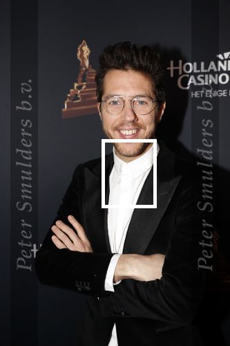 Amsterdam 23 januari 2019
Rode loper musical awards in de RAI. William Spaaij
